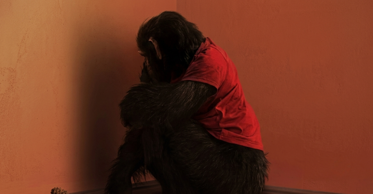How Outpost VFX Rebuilt Primate's Killer Chimp in Just 3 Months